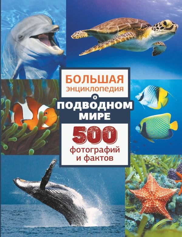 Большая энциклопедия о подводном мире: 500 фотографий и фактов