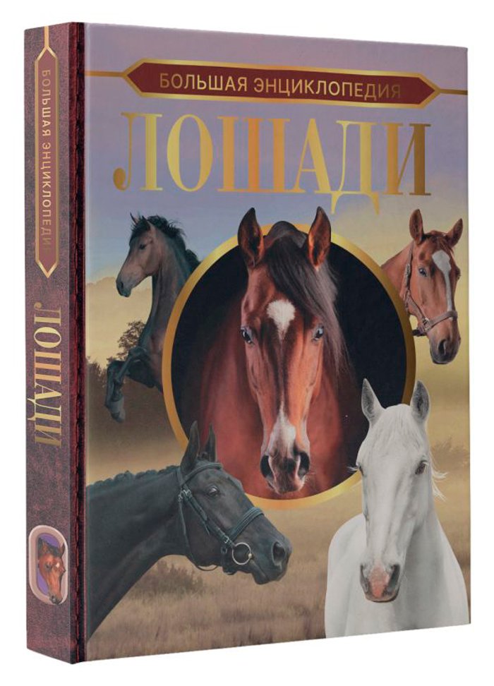 Большая энциклопедия: Лошади
